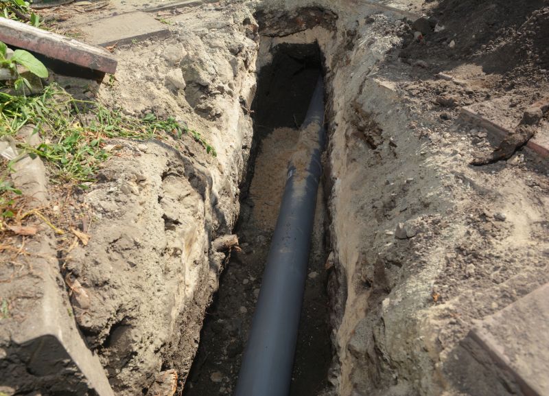Sewer Repair in Longmont, CO